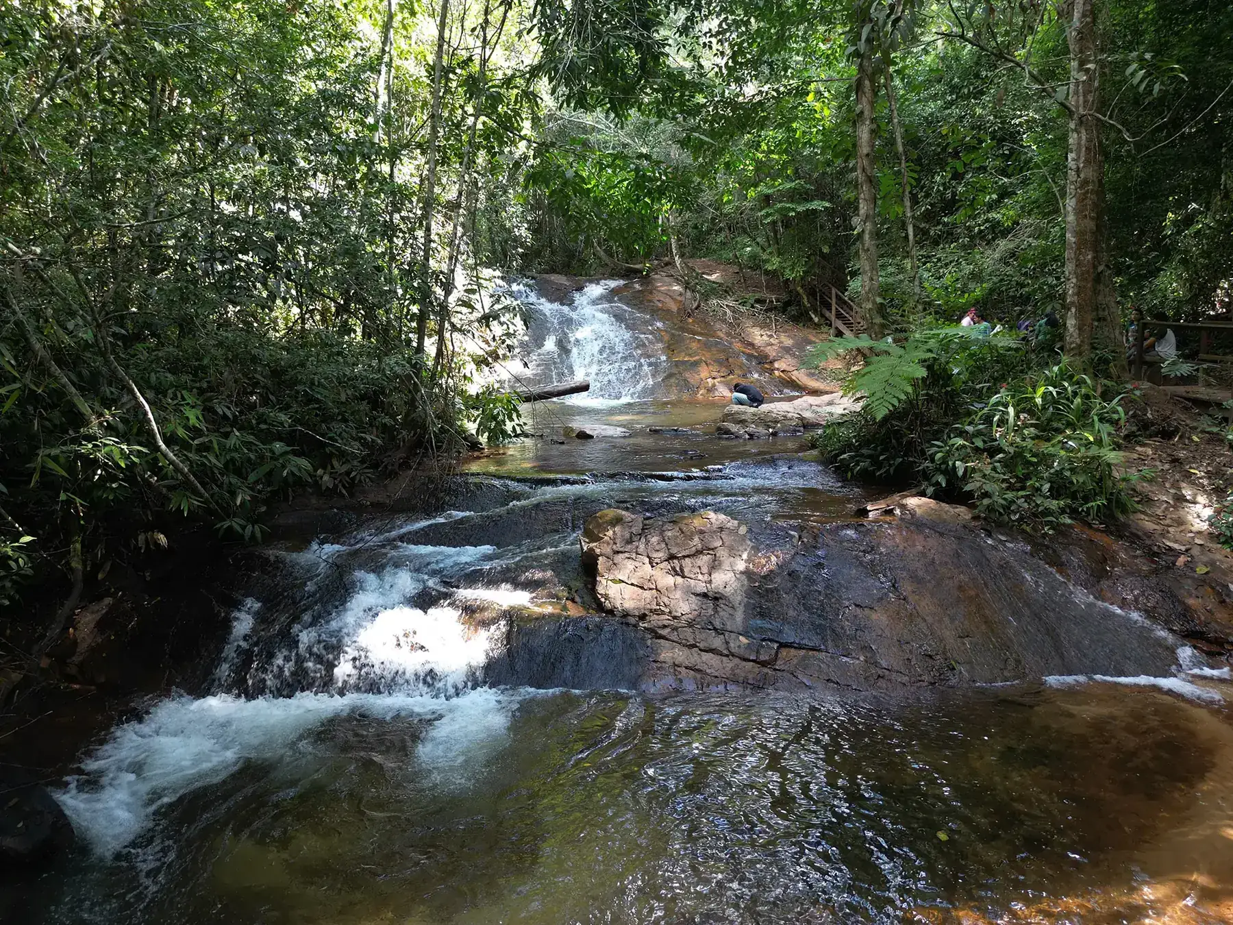 Águas cristalinas correndo entre as pedras da Floresta Nacional de Carajás