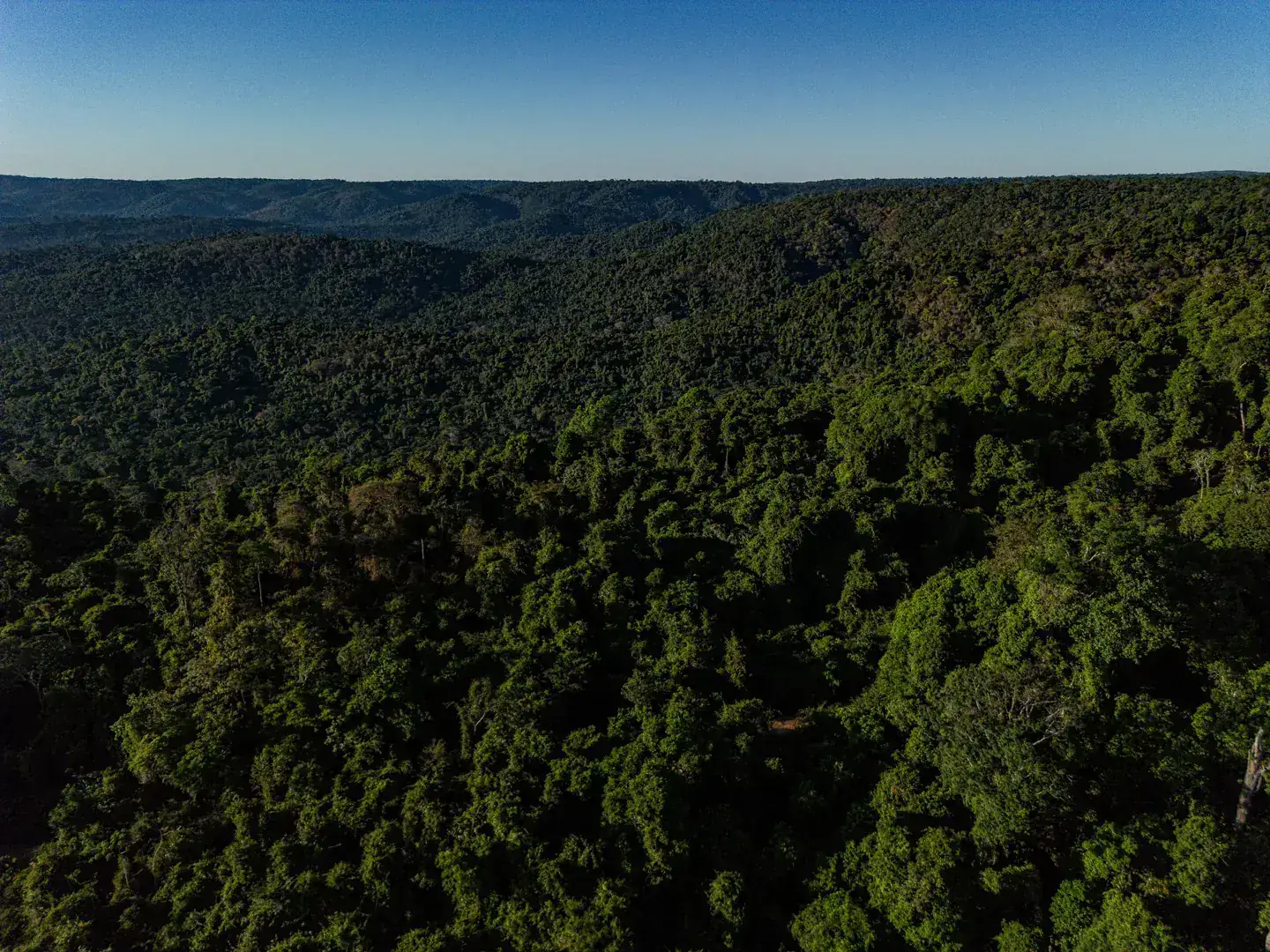 Floresta amazônica sobre a serra de Carajás