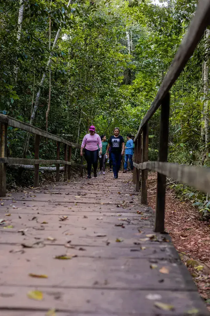 Visitantes acompanhados por condutor em passarela da Floresta Nacional de Carajás