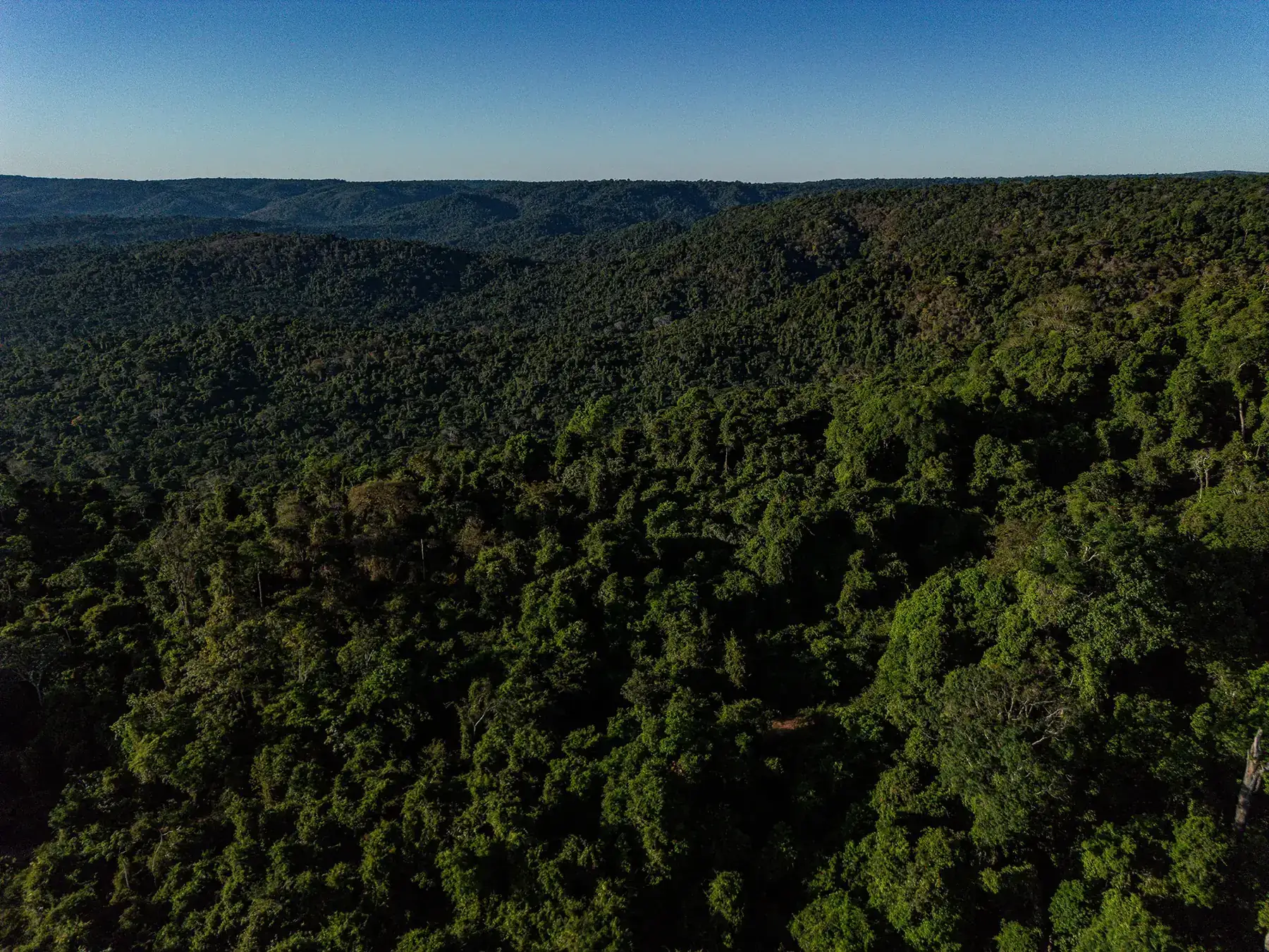 Serra de Carajás coberta pela floresta amazônica