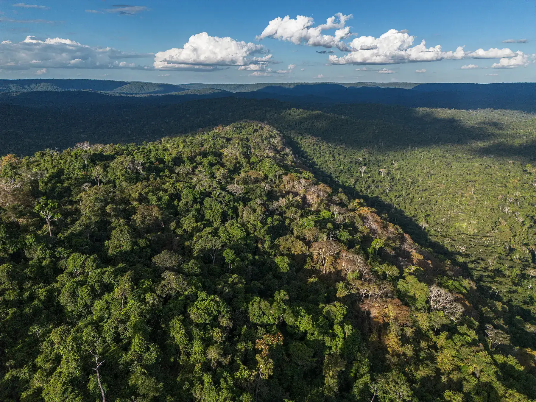 Floresta densa da Amazônia vista do alto