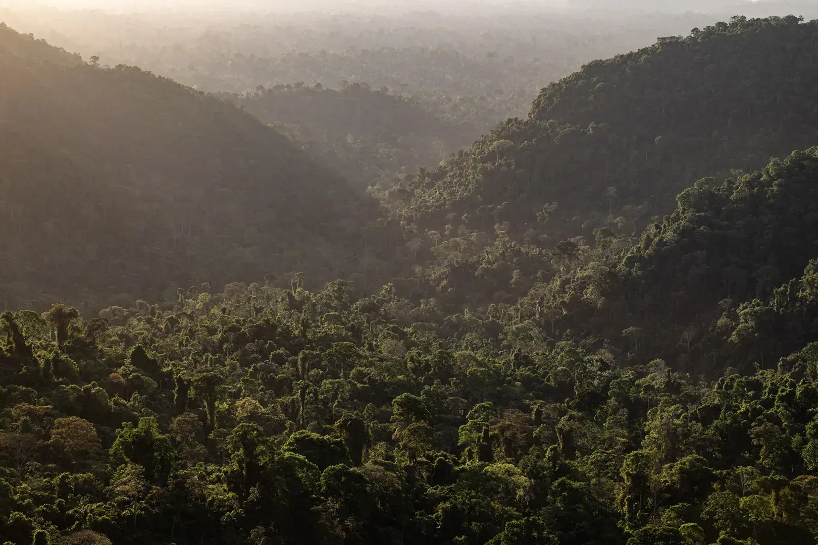Floresta Nacional de Carajás vista do alto ao amanhecer