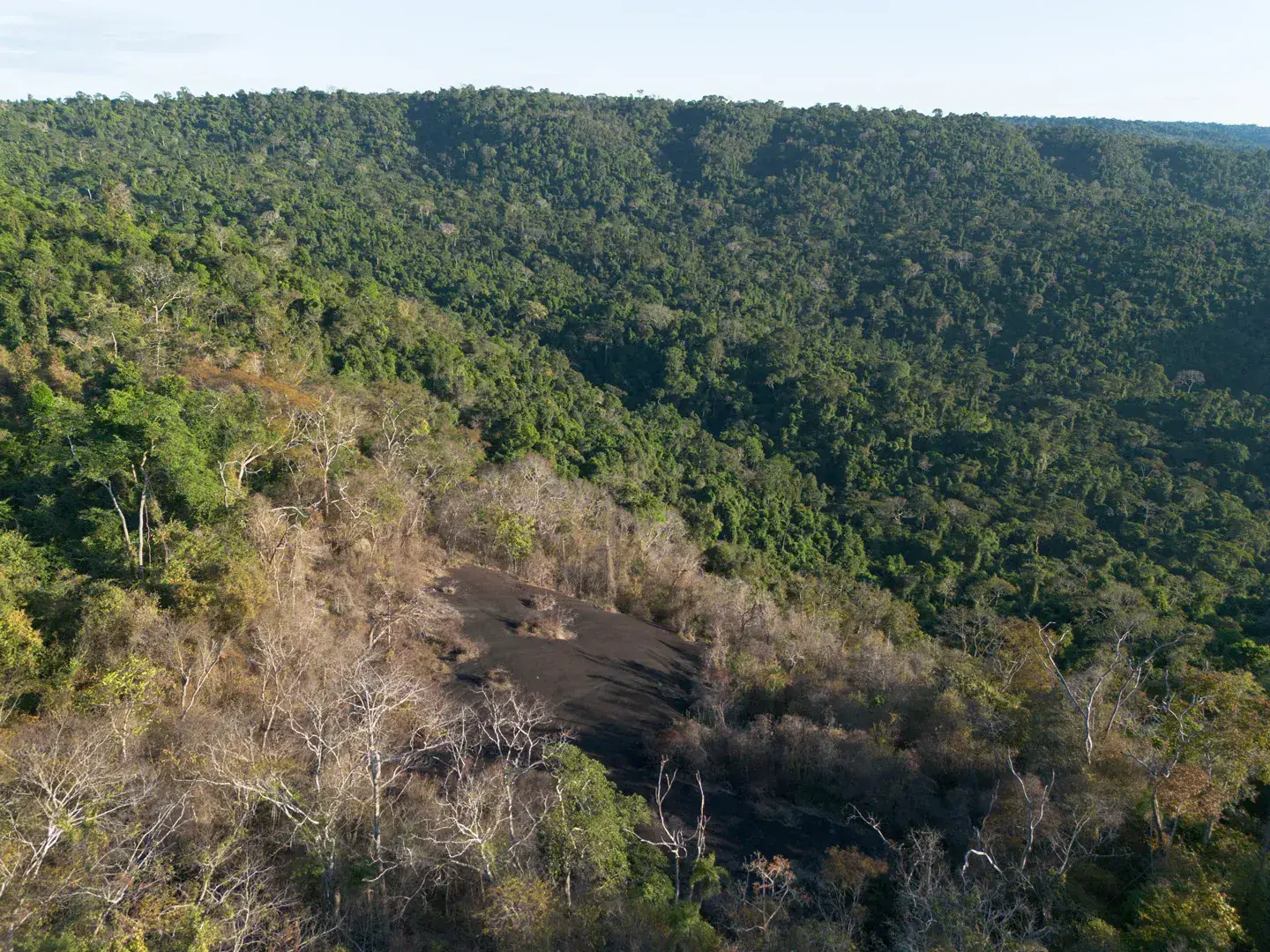 Vista aérea da floresta a partir da Pedra da Harpia