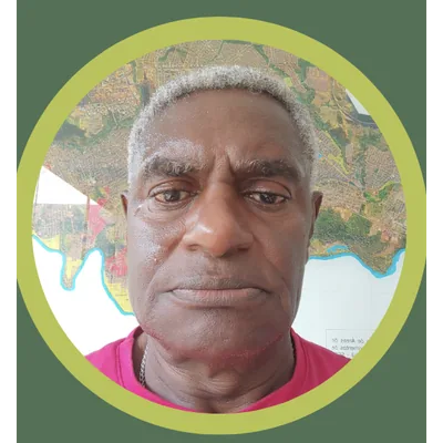 Waldair Mariano